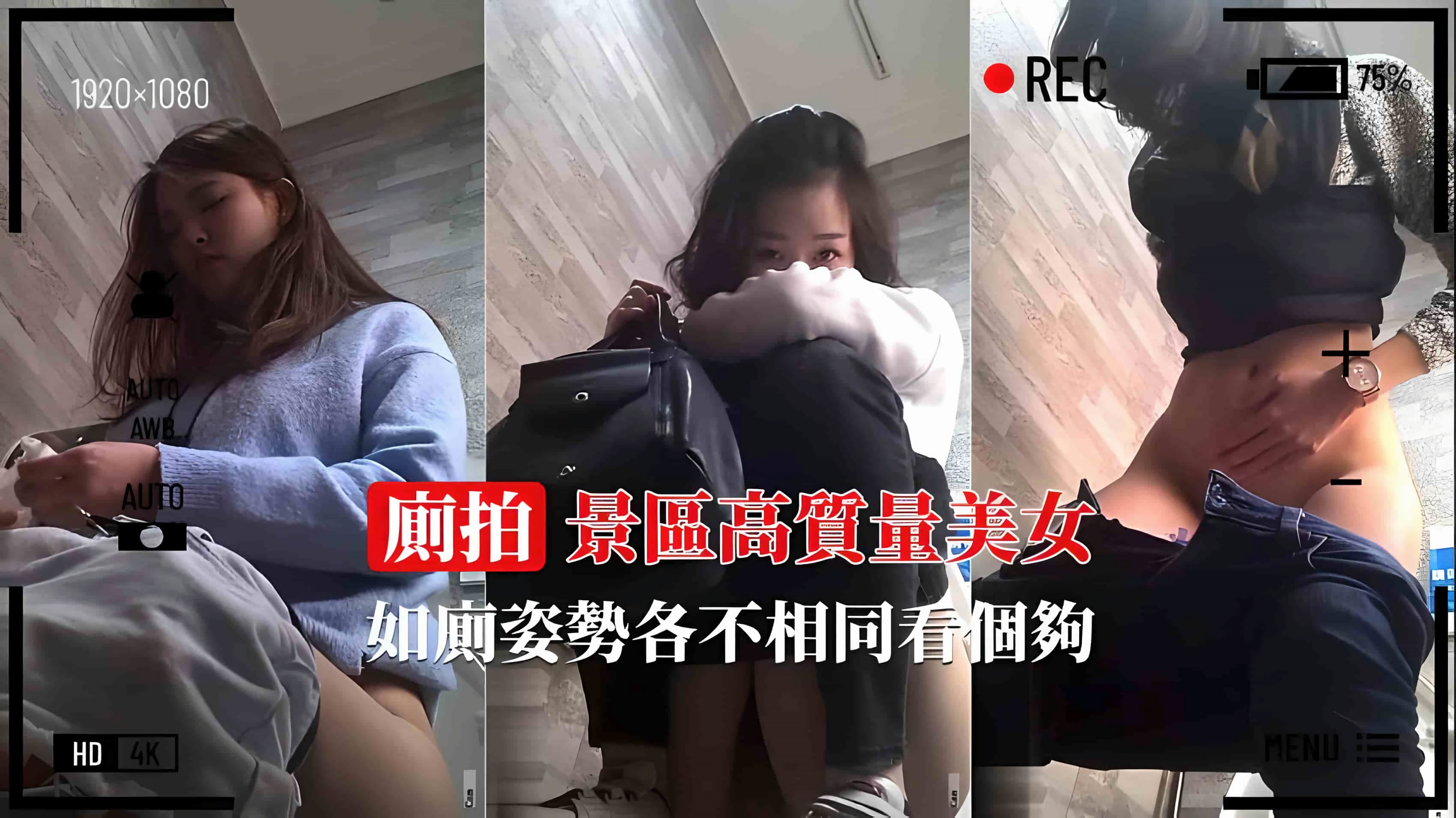 偷拍景区极品美女如厕 骚穴尽露姿势撩人