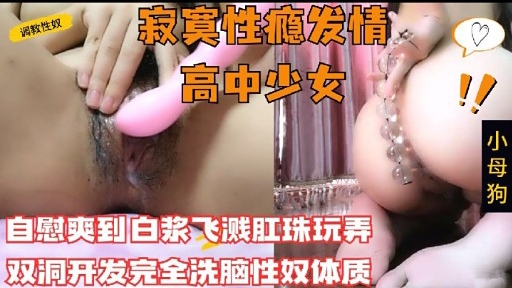 [SSNI-666] 调教性瘾高中少女 双洞爆操白浆飞溅 彻底洗脑沦陷性奴