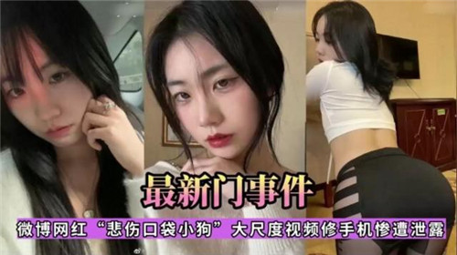 [独家] 修手机惨遭泄露！悲伤口袋小狗网红大尺度视频疯传